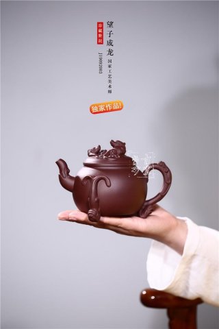 《望子成龍》 《望子成龍》