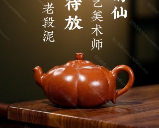 含苞待放 含苞待放