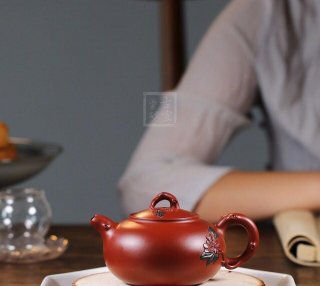 《花開(kāi)富貴》 《花開(kāi)富貴》