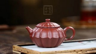 《筋紋菊瓣》 《筋紋菊瓣》