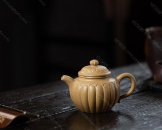 筋紋蓮子 筋紋蓮子