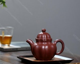 筋紋掇球 筋紋掇球