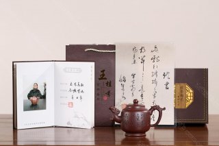 玉龍高權 玉龍高權