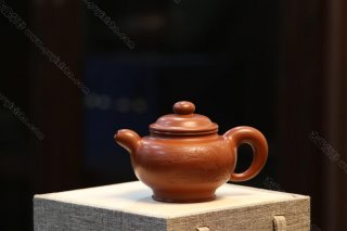 道洪掇只 道洪掇只