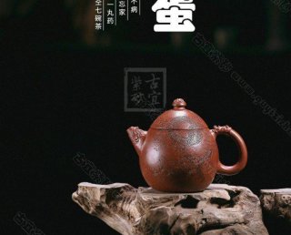 《龍鳳龍旦》 《龍鳳龍旦》