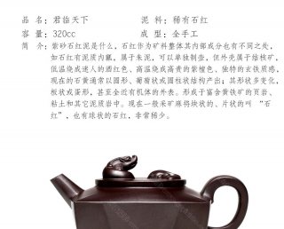 君臨天下 君臨天下